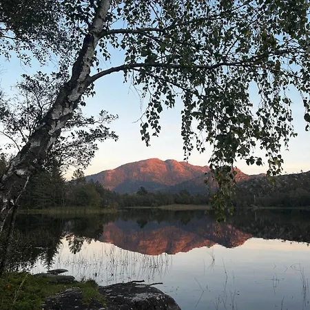 Sentral, Romslig Og Lys Med Parkering *